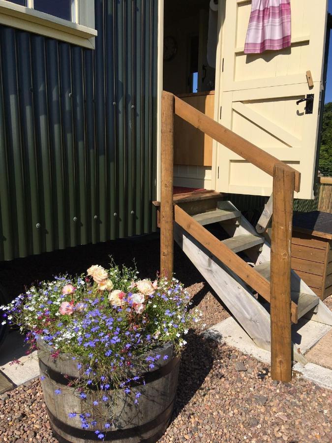 The Hawthorn Shepherds Hut * Eyemouth