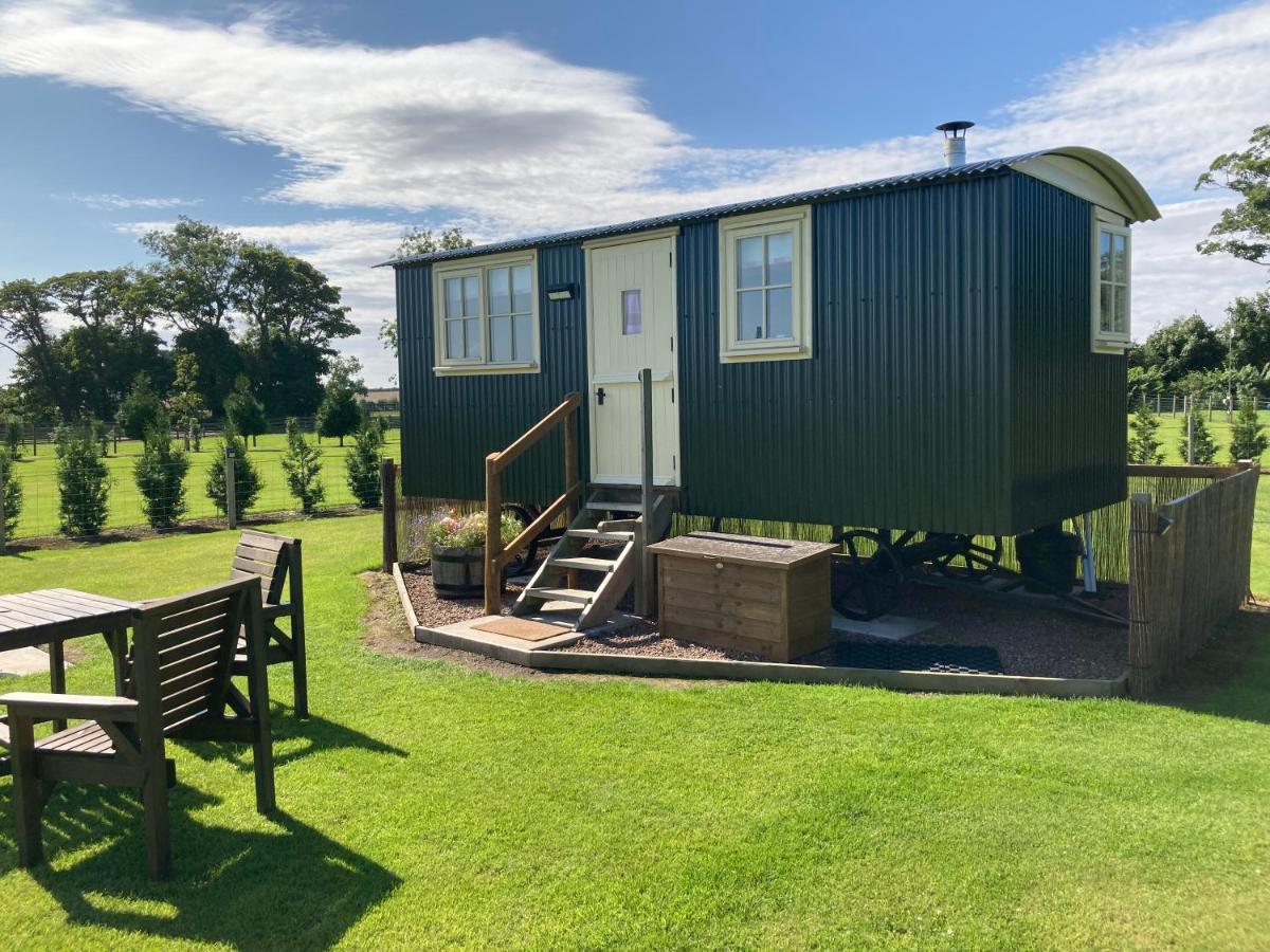 The Hawthorn Shepherds Hut Holiday home Eyemouth