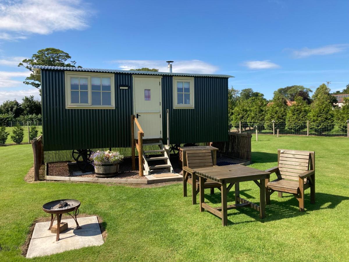The Hawthorn Shepherds Hut Holiday home Eyemouth